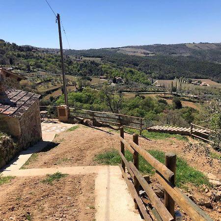 Podere Soccorso Casa Vigneto Montalcino Dış mekan fotoğraf