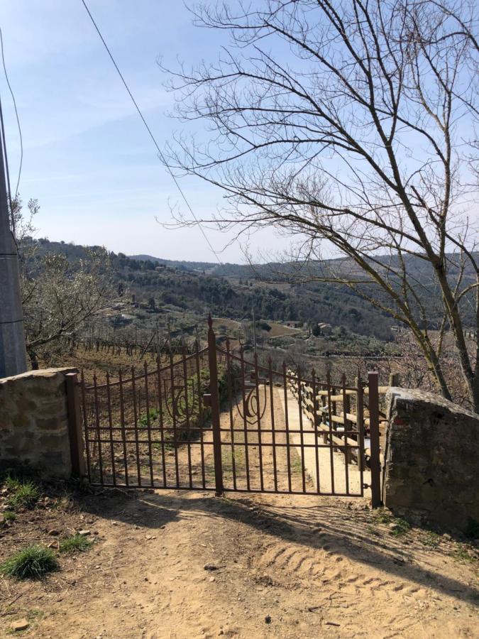 Podere Soccorso Casa Vigneto Montalcino Dış mekan fotoğraf