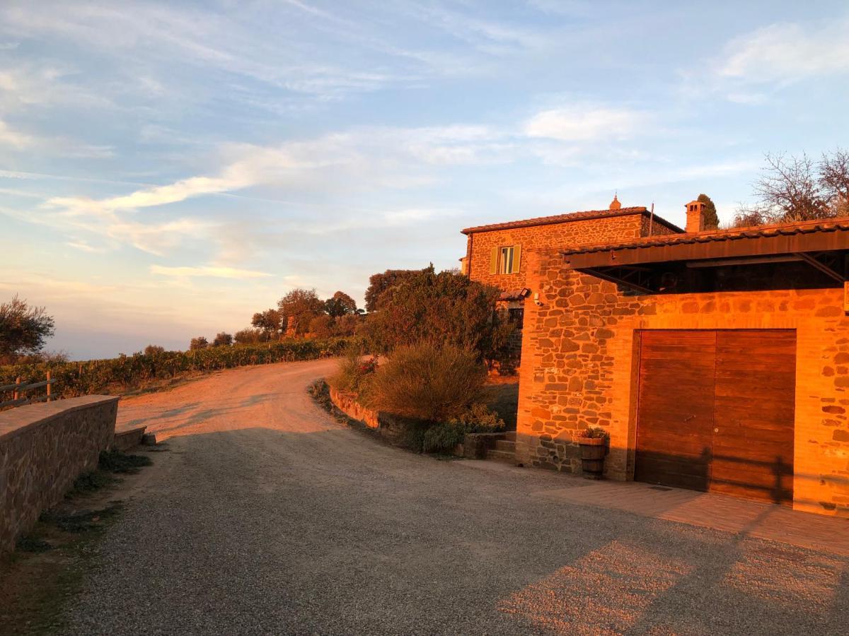 Podere Soccorso Casa Vigneto Montalcino Dış mekan fotoğraf