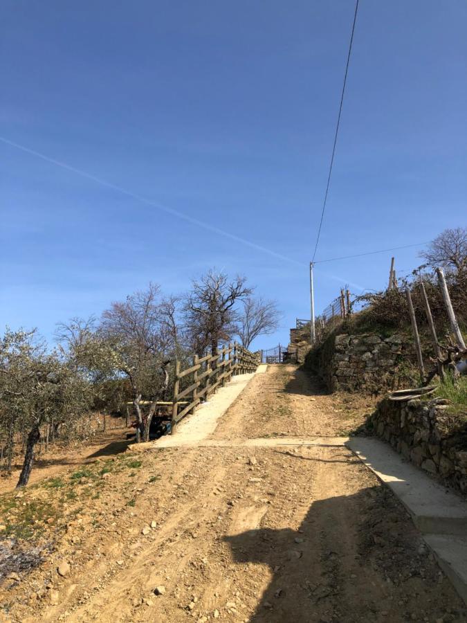 Podere Soccorso Casa Vigneto Montalcino Dış mekan fotoğraf