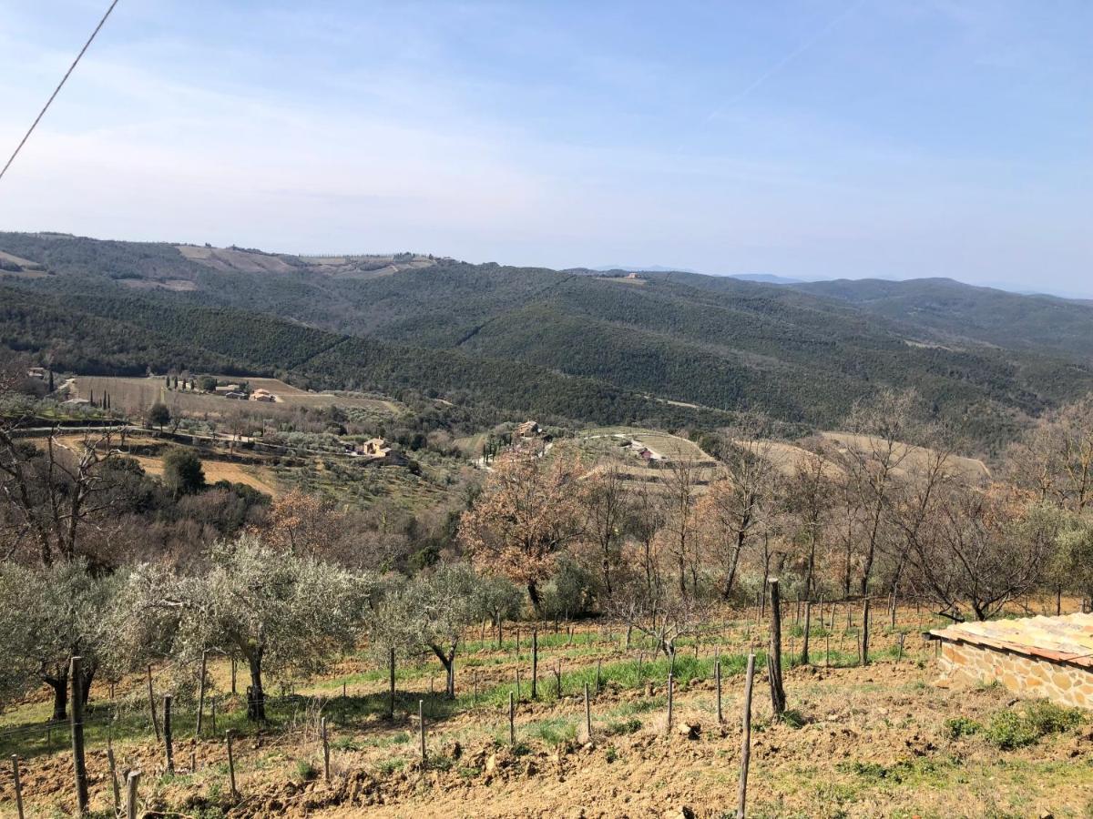 Podere Soccorso Casa Vigneto Montalcino Dış mekan fotoğraf
