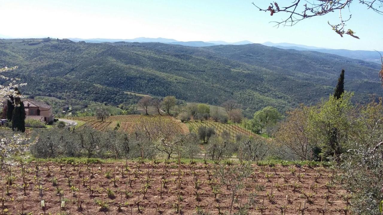 Podere Soccorso Casa Vigneto Montalcino Dış mekan fotoğraf